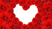Red Roses & Love Heart6806319008 200x110 - Red Roses & Love Heart - Special, Roses, Love, Heart